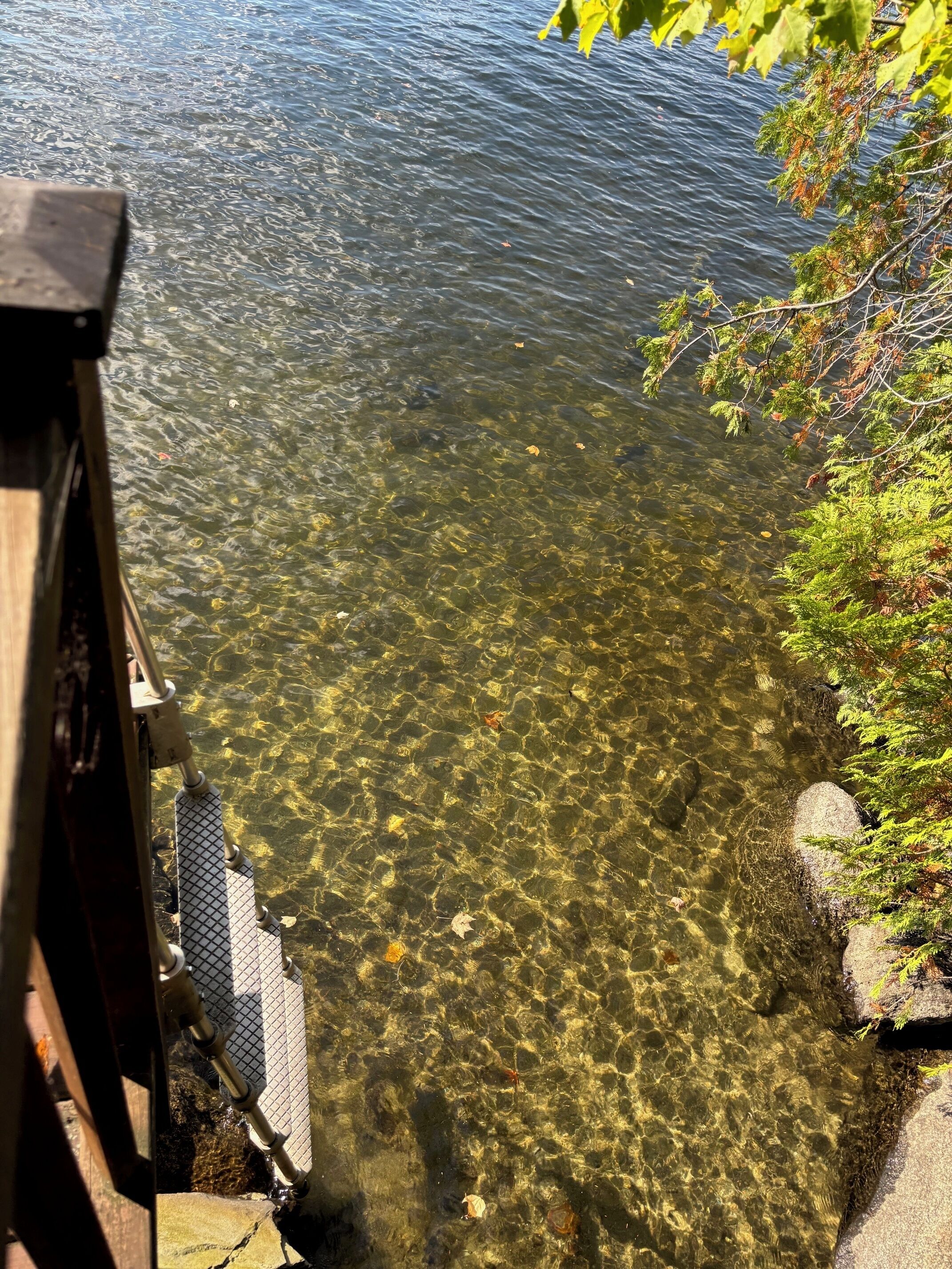 Una vista despejada de un lago con rocas visibles y una estructura de madera a la izquierda.
