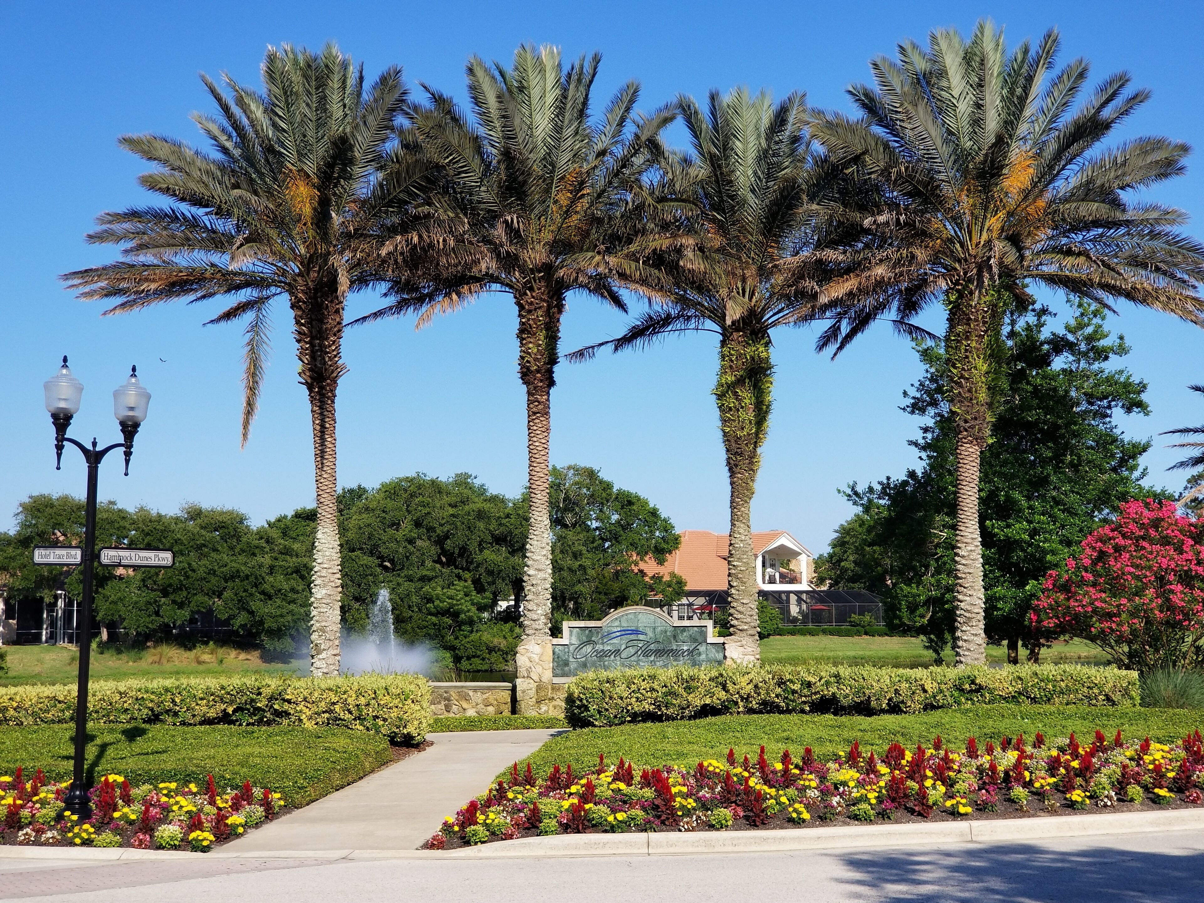 A landscaped area with palm trees, a fountain, and a building labeled "Cedar Fair."