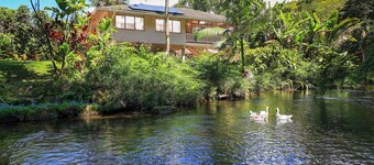 Paddle to the Beach from a Secluded Riverfront Eden-A/C-Central to Hanalei&Ke'e