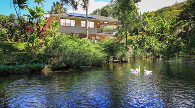 Paddle to the Beach from a Secluded Riverfront Eden-A/C-Central to Hanalei&Ke'e