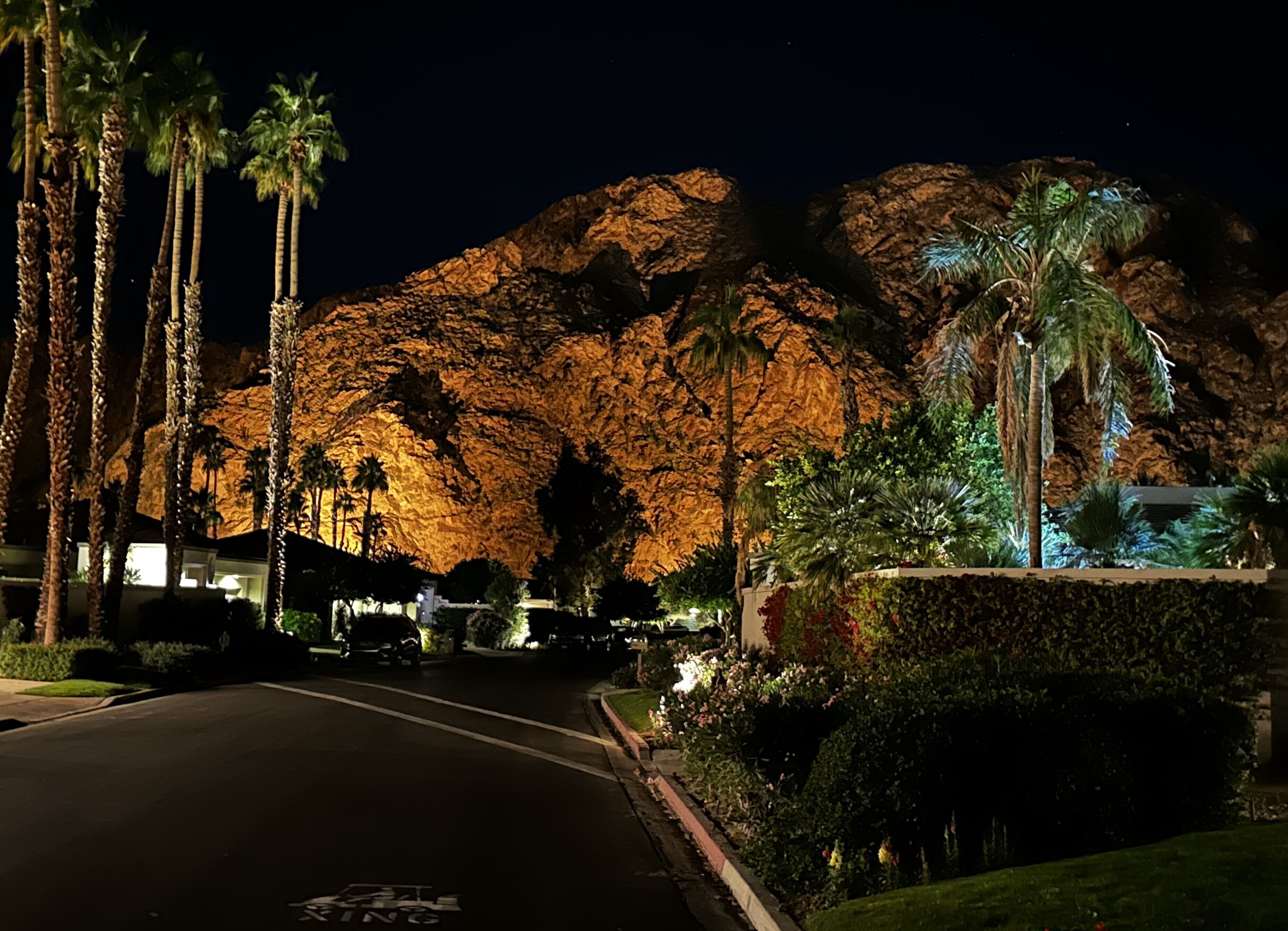 A nighttime view of a street with palm trees and a mountain in the background.