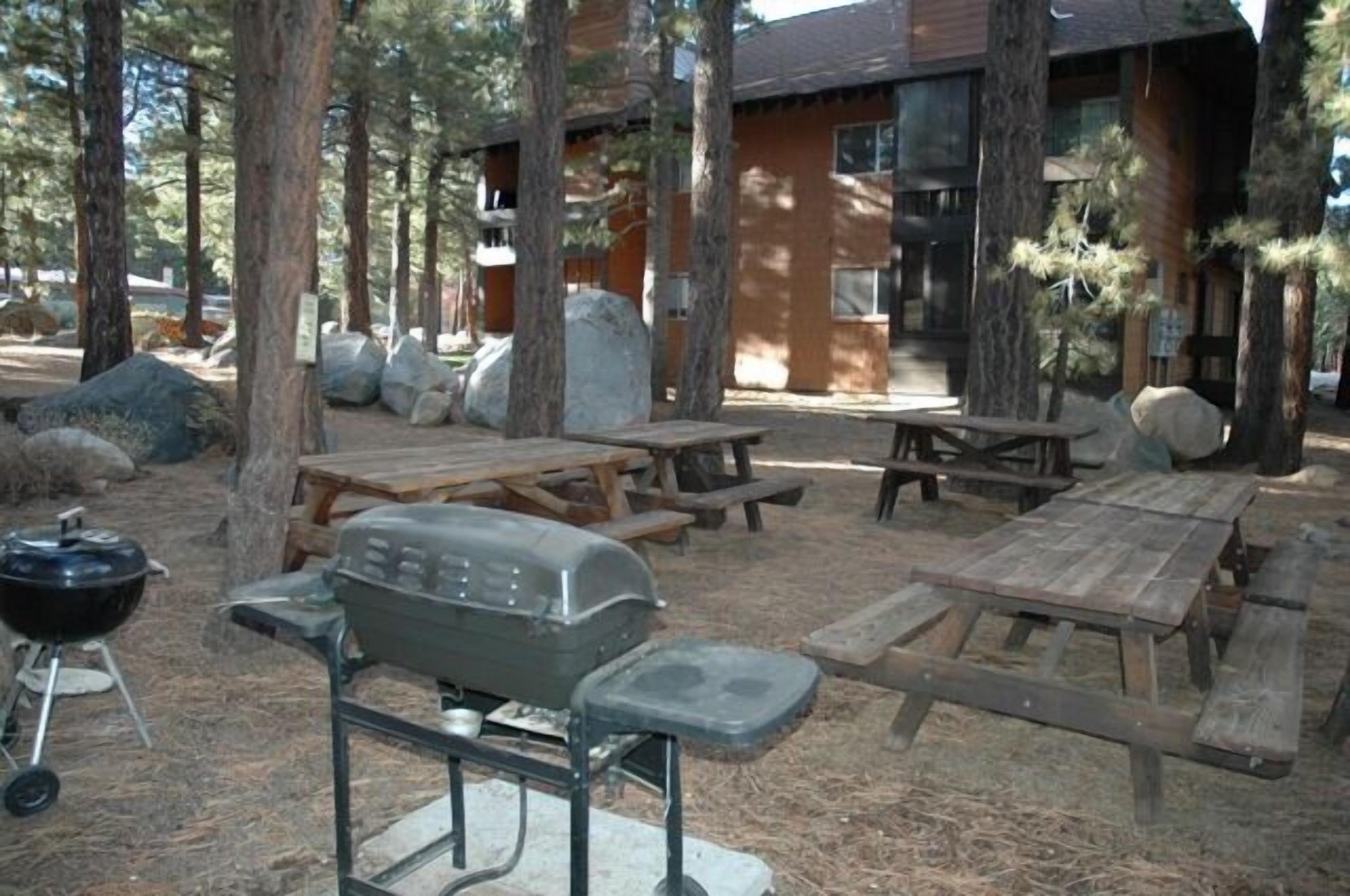 Een terras buiten met picknicktafels en een barbecue, omringd door bomen en een gebouw met grote ramen.