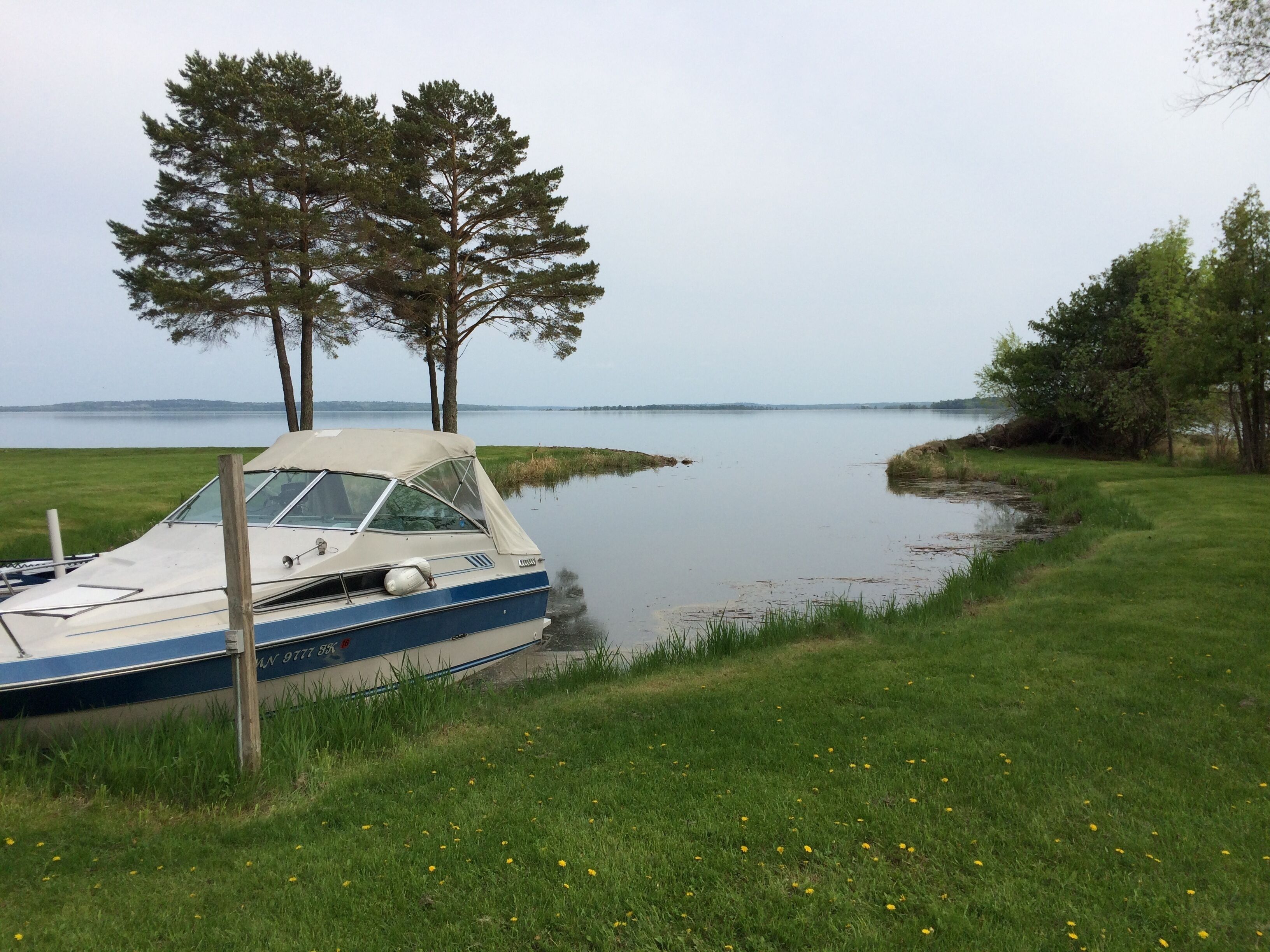 A boat parked near a calm body of water with grassy banks and trees in the background.
