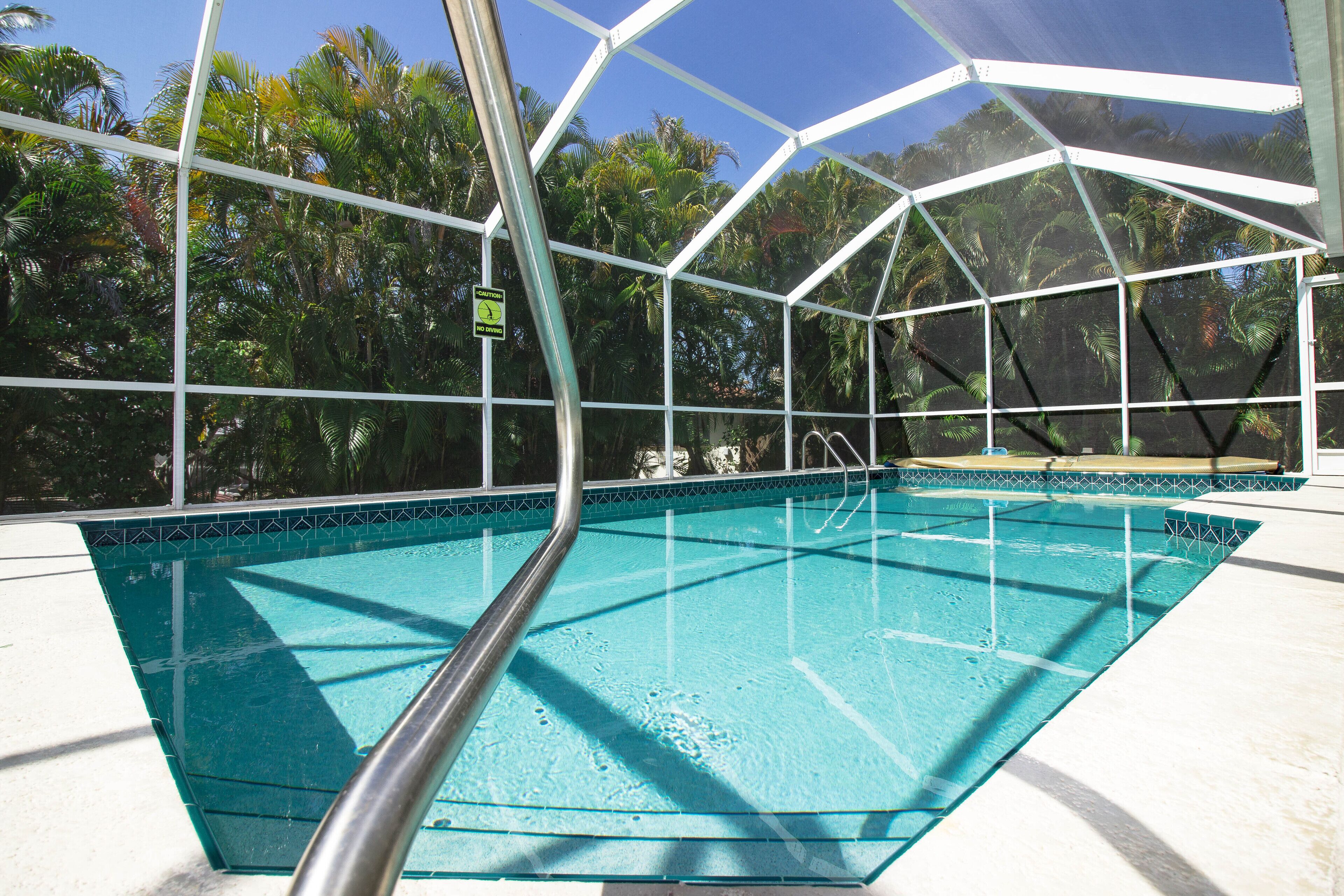 Une piscine entourée de palmiers et dotée d’une paroi en verre.