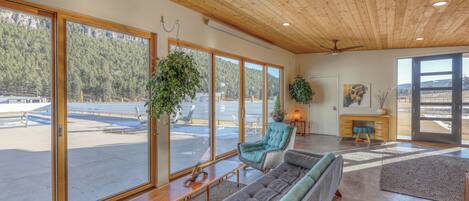 Smart TV, DVD player, books, stereo