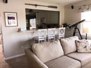 TV, fireplace, books