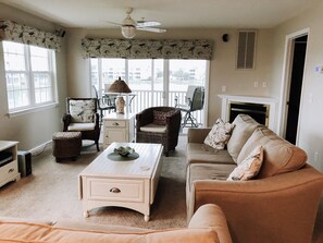 TV, fireplace, books