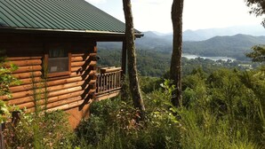Une cabane en rondins surmontée d’un toit en métal, entourée de grands arbres et offrant une vue panoramique sur les montagnes et un lac.