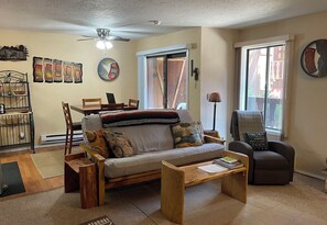 Smart TV, fireplace, DVD player, books