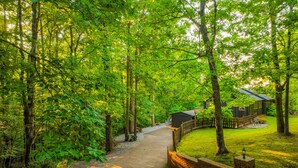 A pathway leading to a cabin surrounded by dense forest. - 5 BR, 3 King Beds, Fire Pit, Hot Tub, Game room! Amazing Year Round Lake View!! (Sparta)