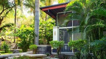 Televisión de 42 pulgadas con canales digitales y Netflix