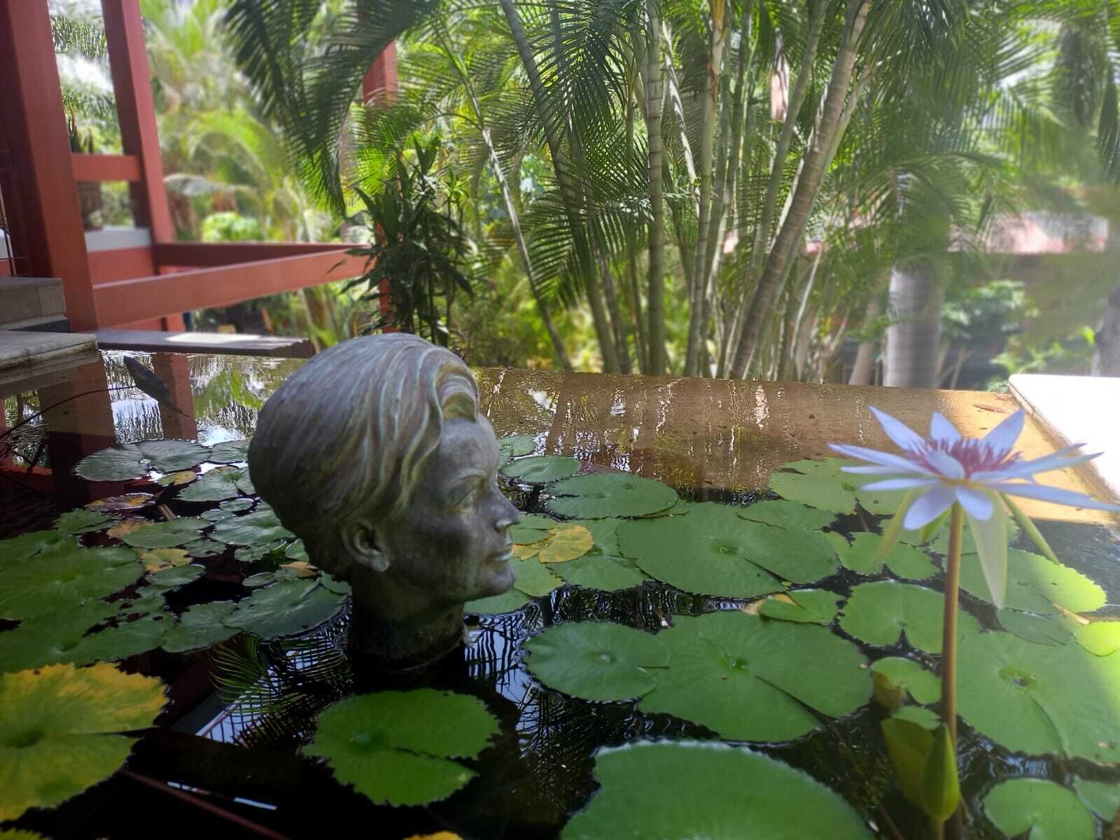Une statue dans un bassin orné de nénuphars et d’une plante aquatique.