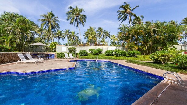 Une piscine à l’eau d’un bleu cristallin, entourée de palmiers et d’un mur de pierre.