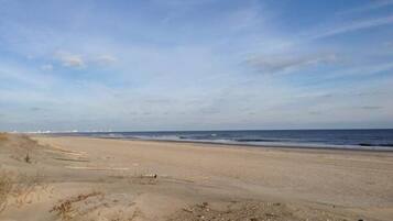 Beach nearby, sun loungers