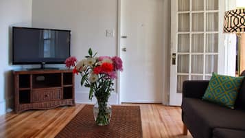 Smart TV, DVD player, streaming services