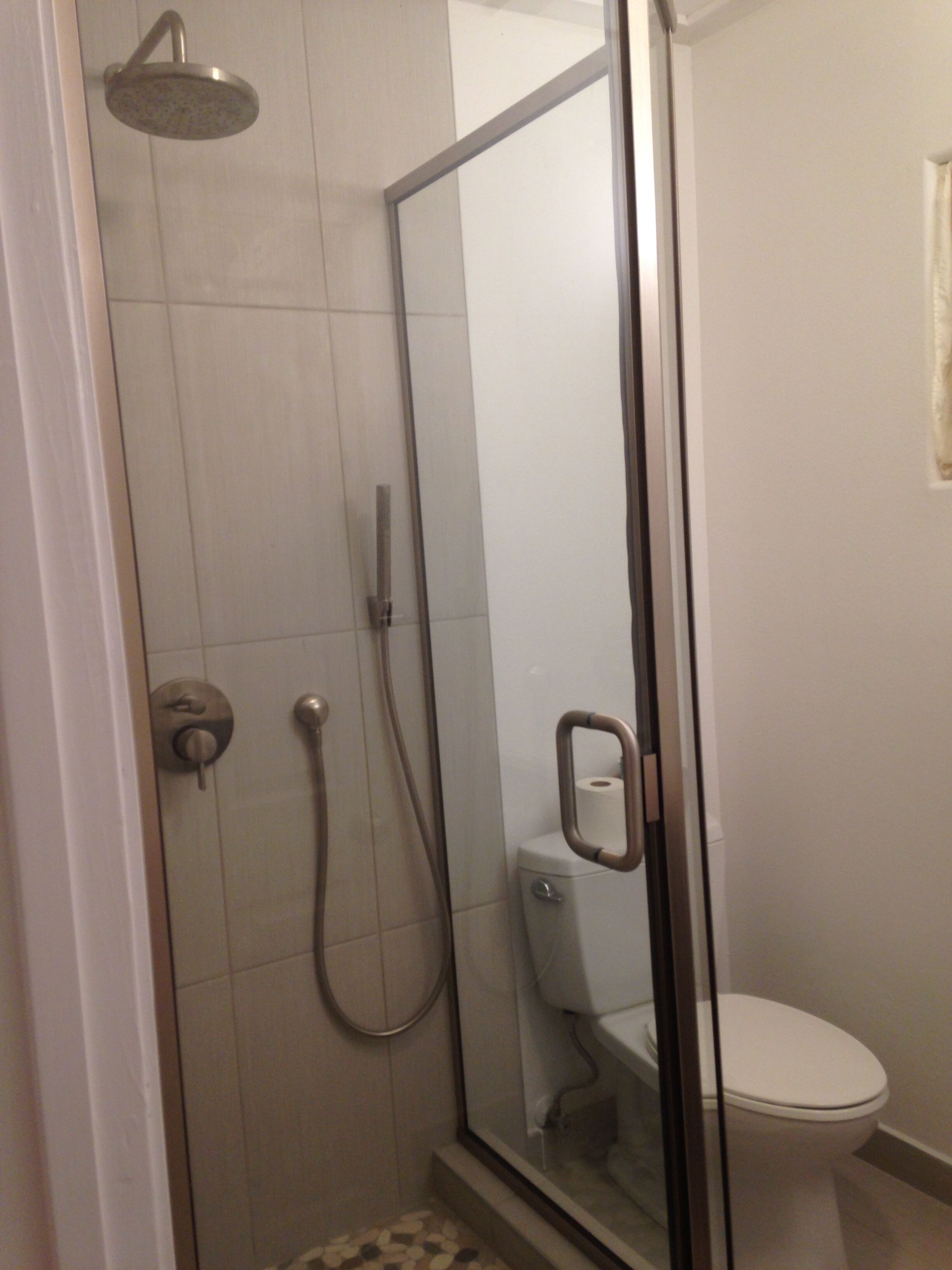 Une douche en verre avec un pommeau de douche à main, un robinet mural et des toilettes visibles à travers le verre.