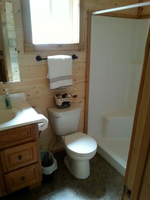 淋浴设施、吹风机、毛巾、卫生纸