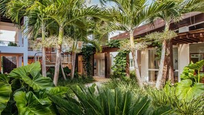 Edifici modern amb un pati envoltat de plantes tropicals exuberants i palmeres.