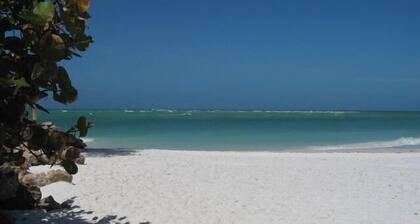 Pine Ave Best Location on Island! Steps from the water & island favorites.