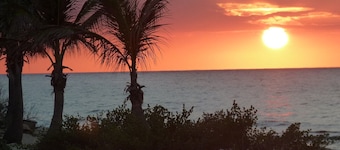 Private 2-b beachfront cottage w/ hammocks, screened-in veranda, sunsets & more!