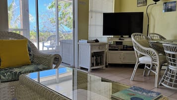 Smart TV, DVD player, books, video library