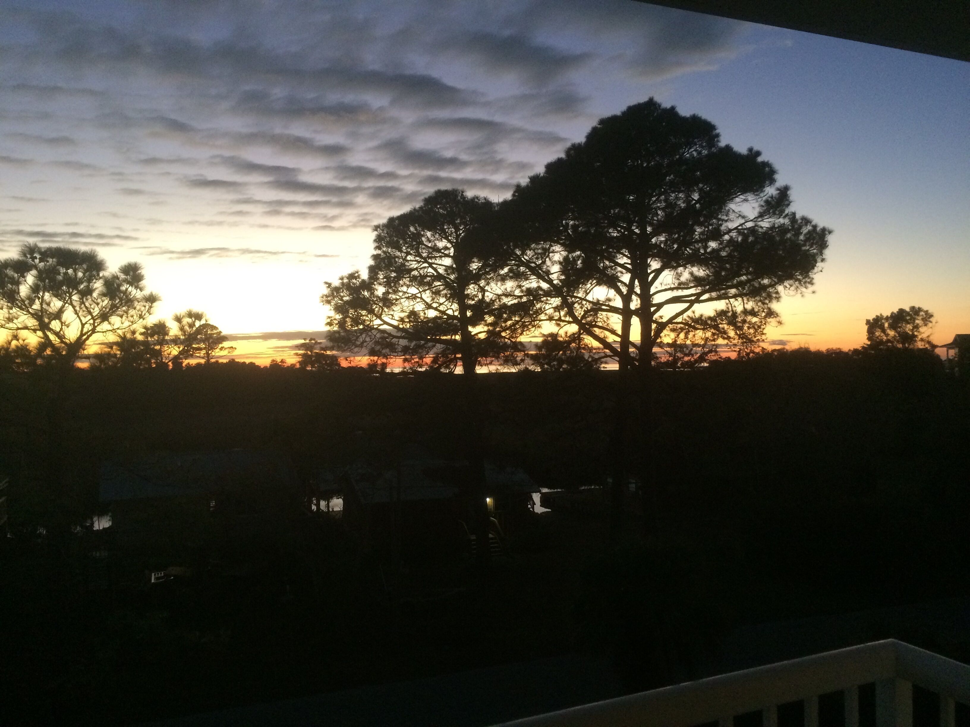 Sunsets, Canal Front, FISH, FISH, FISH!  Suwannee Cove - Unit 207