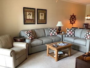 Smart TV, DVD player, books, video library