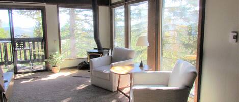 Älytelevisio, takka, DVD-soitin, kirjoja