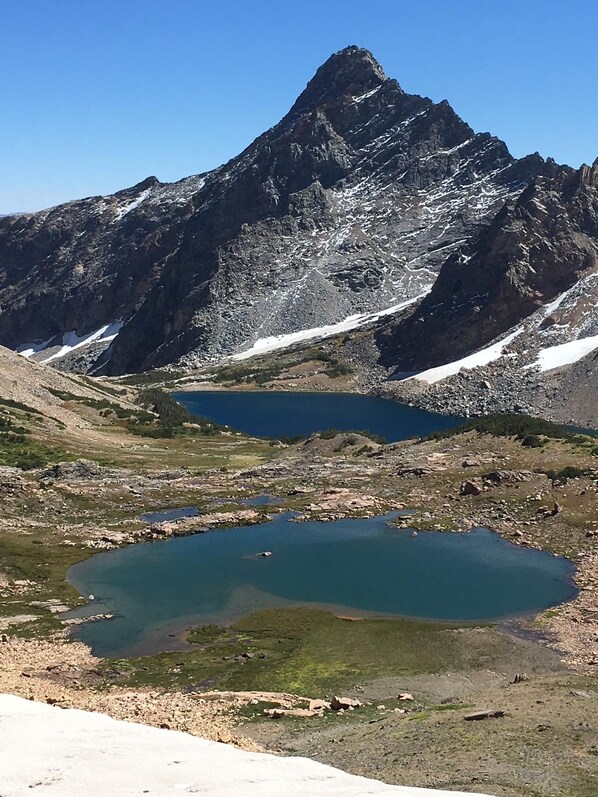 صورة غير مصنفة، 1 من 50، زرّ