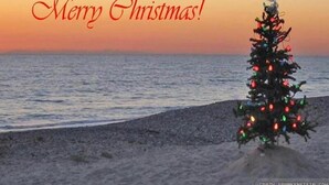 Escena de playa con un árbol de Navidad decorado con luces y un cartel que dice '¡Feliz Navidad!'