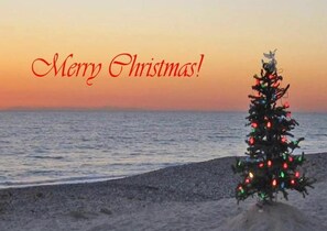 Eine Strandansicht mit einem Weihnachtsbaum, der mit Lichtern geschmückt ist, und einem Schild mit der Aufschrift 'Merry Christmas!'.