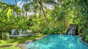 A swimming pool surrounded by lush greenery and palm trees. - Luxury Beachfront Home in Haena AC, Pool  TVNC5141 (Hanalei)