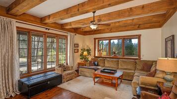 TV connectée, cheminée, jeux vidéo, lecteur de DVD