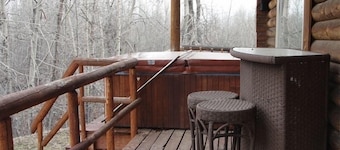 Kelly's Rock Creek Cabin. Kids and dogs welcome!