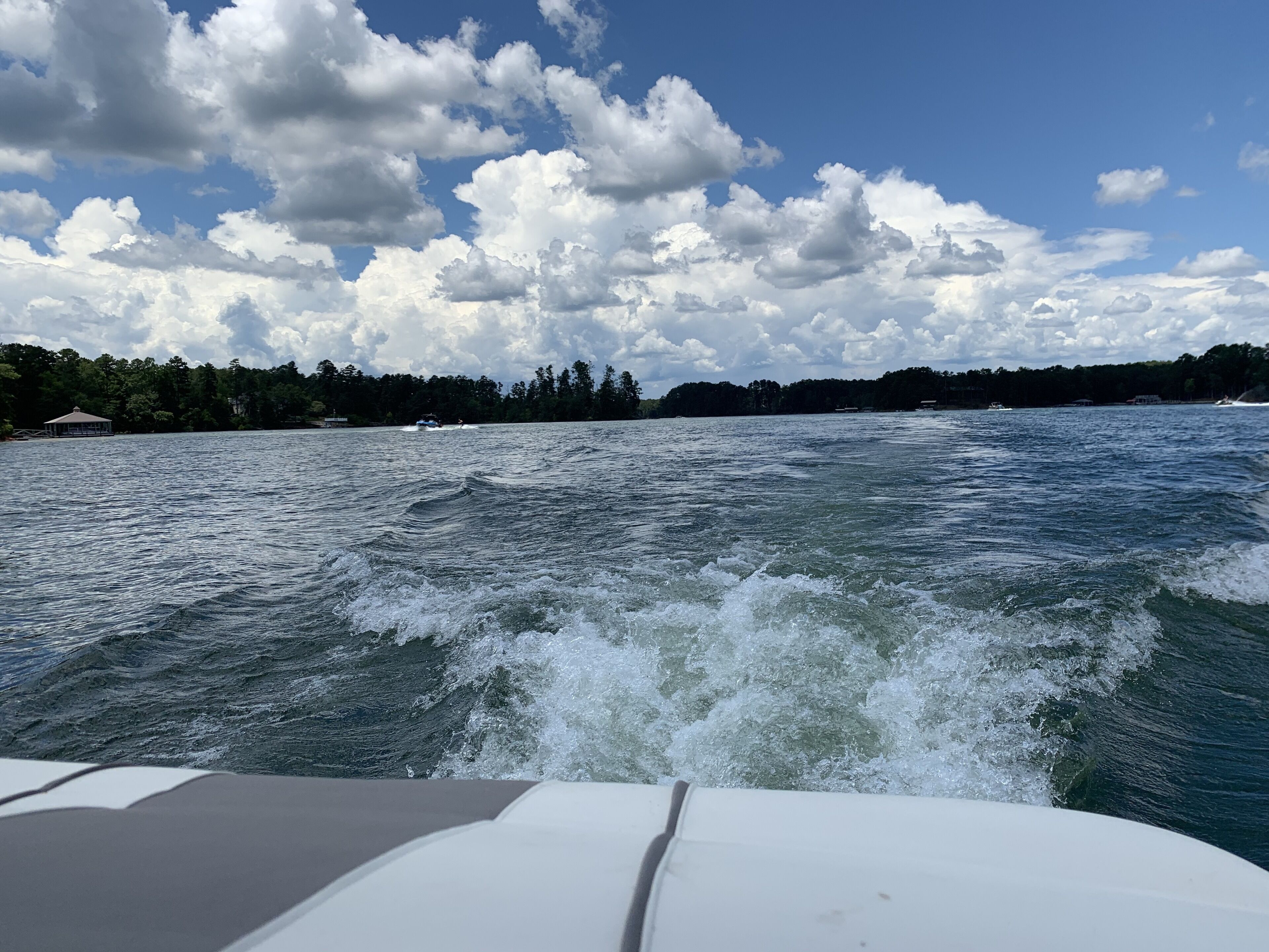 Ein Boot fährt durch ein Gewässer, im Hintergrund eine bewaldete Uferlinie.