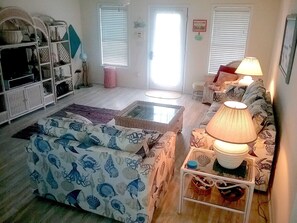 TV, DVD player, books, video library