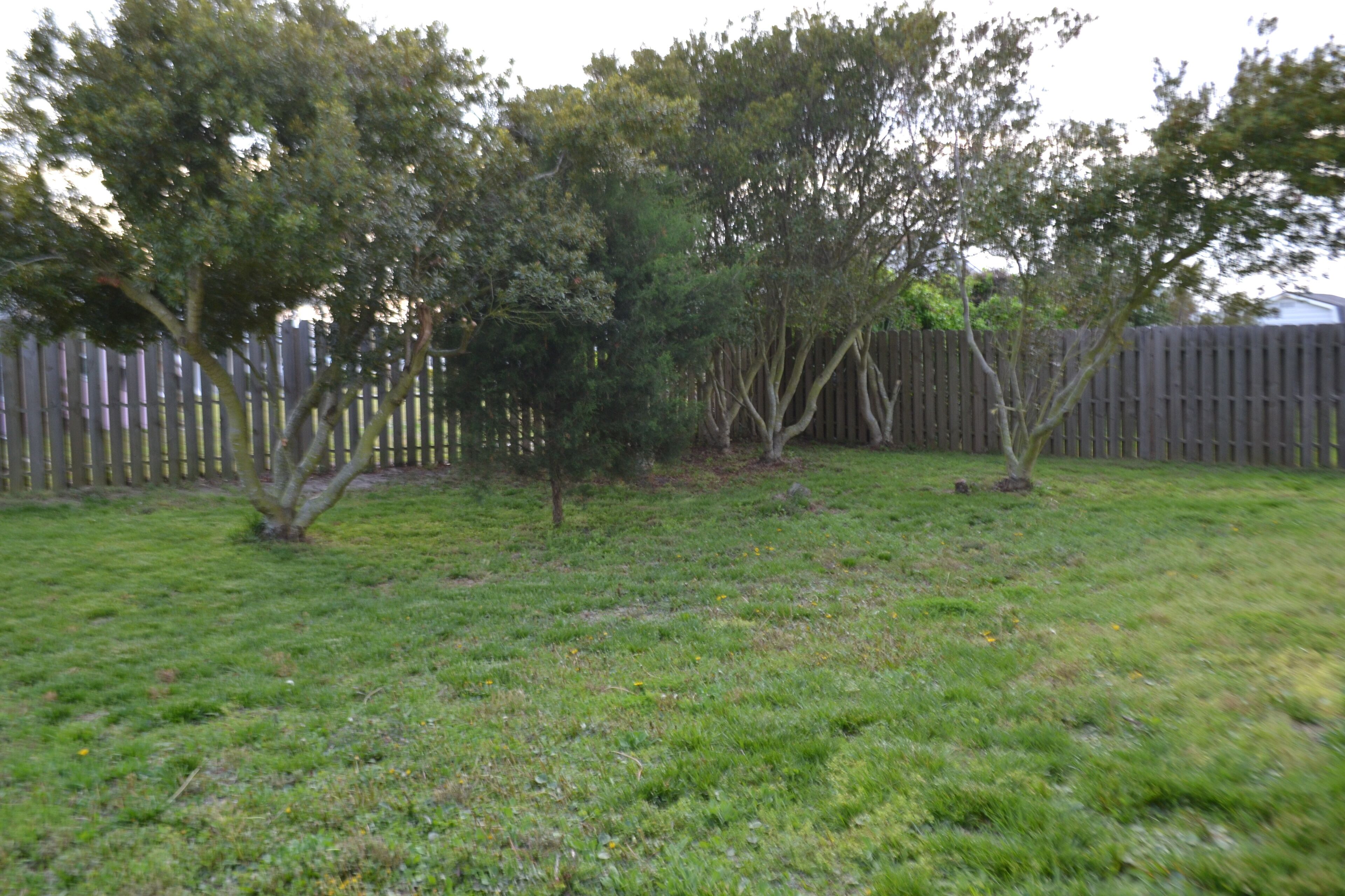 A grassy backyard with trees and a wooden fence.