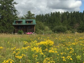 Ulkopuoli