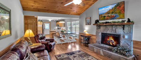 Smart TV, fireplace, DVD player, books