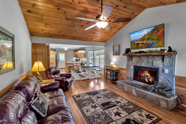 Smart TV, fireplace, DVD player, books