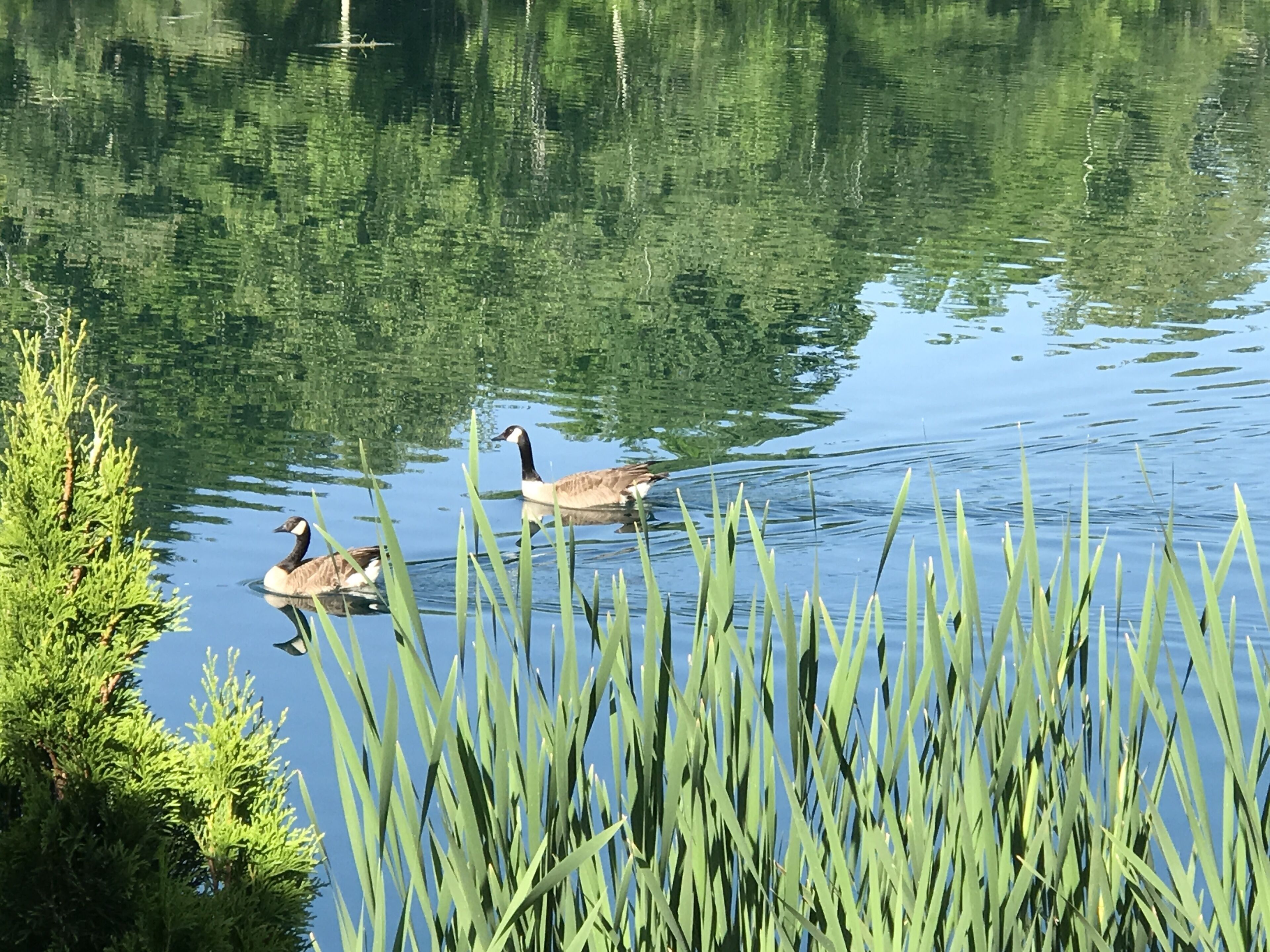 Private Catch And Release LakeBoat Rental Included! Close to Lake