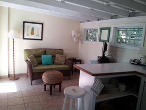 TV, DVD player, books, music library