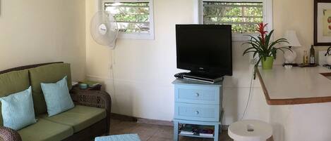 A living room with a green sofa, a blue cabinet, a flat-screen TV, a fan, and a small table with a plant.