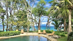 Une piscine entourée d’une végétation luxuriante et de palmiers, avec vue sur l’océan.