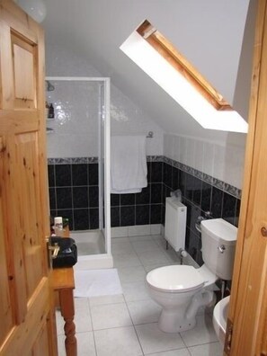 Bathtub, hair dryer