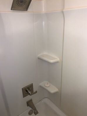 Regadera y papel de baño 