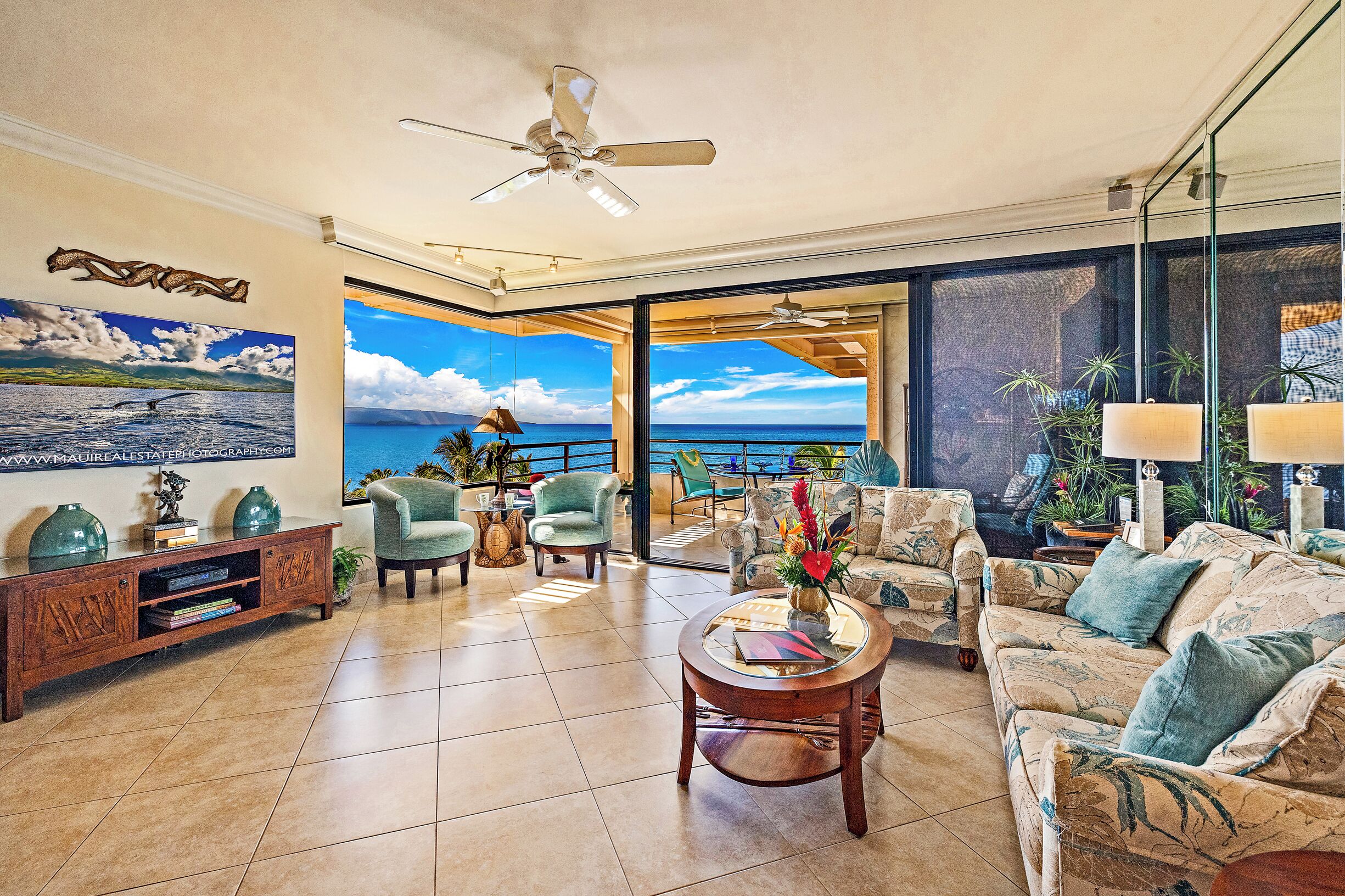 Smart TV, DVD player, books, music library