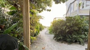 A pathway leading to a building with a wooden structure on the left and dense foliage on both sides. - Pelican Perch: Tropical Paradise Cottage on the Beach            VRC17-000167 (Holmes Beach)