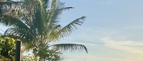 En la playa y camastros