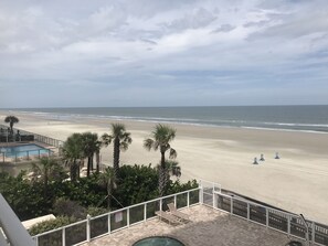 Property grounds - Dog Days of Summer on the Beach! August/Fall Dates Open
Cyndi 386-361-5882 (Daytona Beach Shores)